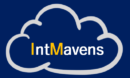 IntMavens